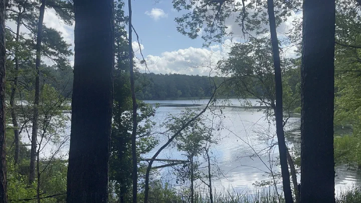 Tyler State Park lake