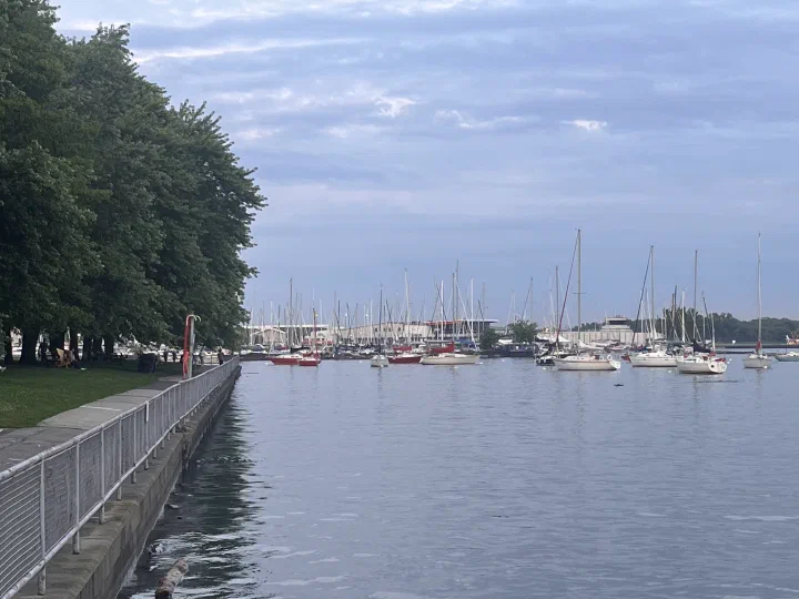Sailboats moored beside a tree-lined waterfront